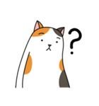 Chubby Calico Cat（個別スタンプ：5）