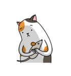 Chubby Calico Cat（個別スタンプ：6）