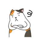 Chubby Calico Cat（個別スタンプ：10）