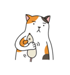 Chubby Calico Cat（個別スタンプ：11）