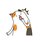 Chubby Calico Cat（個別スタンプ：13）
