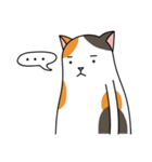 Chubby Calico Cat（個別スタンプ：16）
