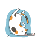 Chubby Calico Cat（個別スタンプ：17）