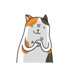 Chubby Calico Cat（個別スタンプ：18）