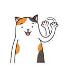 Chubby Calico Cat（個別スタンプ：19）