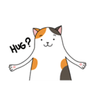 Chubby Calico Cat（個別スタンプ：20）