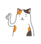 Chubby Calico Cat（個別スタンプ：24）