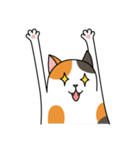 Chubby Calico Cat（個別スタンプ：25）