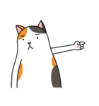 Chubby Calico Cat（個別スタンプ：27）