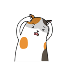 Chubby Calico Cat（個別スタンプ：30）