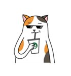 Chubby Calico Cat（個別スタンプ：31）