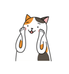 Chubby Calico Cat（個別スタンプ：35）