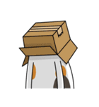 Chubby Calico Cat（個別スタンプ：37）