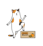 Chubby Calico Cat（個別スタンプ：39）