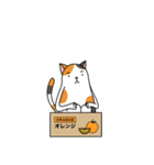 Chubby Calico Cat（個別スタンプ：40）