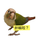 I am happy bird（個別スタンプ：5）