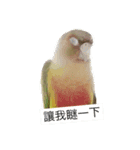 I am happy bird（個別スタンプ：7）