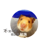 Hamster - Mini Pooh（個別スタンプ：14）