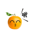 Orange emoji（個別スタンプ：24）