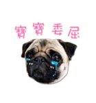 PUG's world of fantasy（個別スタンプ：2）