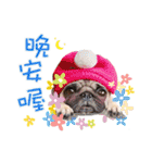 PUG's world of fantasy（個別スタンプ：3）