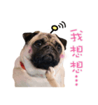 PUG's world of fantasy（個別スタンプ：4）