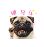 PUG's world of fantasy（個別スタンプ：7）