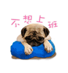 PUG's world of fantasy（個別スタンプ：10）