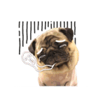 PUG's world of fantasy（個別スタンプ：11）