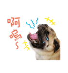 PUG's world of fantasy（個別スタンプ：16）