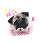 PUG's world of fantasy（個別スタンプ：18）