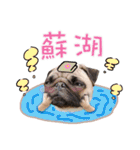 PUG's world of fantasy（個別スタンプ：20）