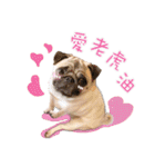 PUG's world of fantasy（個別スタンプ：21）