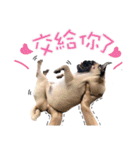 PUG's world of fantasy（個別スタンプ：22）