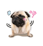 PUG's world of fantasy（個別スタンプ：26）