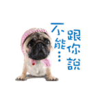 PUG's world of fantasy（個別スタンプ：29）