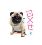 PUG's world of fantasy（個別スタンプ：30）