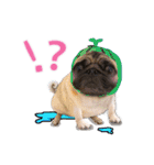 PUG's world of fantasy（個別スタンプ：31）