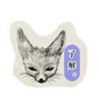 フェネック君（個別スタンプ：1）