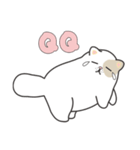 roll roll cat（個別スタンプ：23）