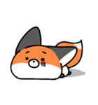 little fox coco（個別スタンプ：5）