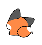 little fox coco（個別スタンプ：7）