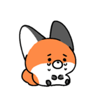 little fox coco（個別スタンプ：14）