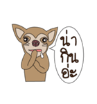 My name is Wasabi spicydog（個別スタンプ：7）