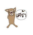 My name is Wasabi spicydog（個別スタンプ：14）