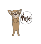 My name is Wasabi spicydog（個別スタンプ：17）