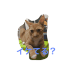 尊い命（個別スタンプ：1）