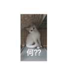 尊い命（個別スタンプ：2）