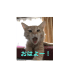 尊い命（個別スタンプ：4）