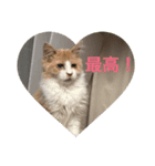 尊い命（個別スタンプ：7）